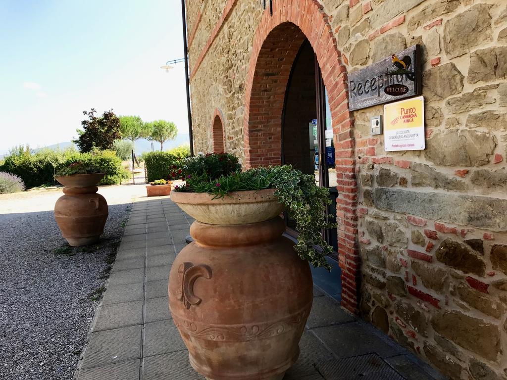 Agriturismo La Colmata Cesa  Exterior foto